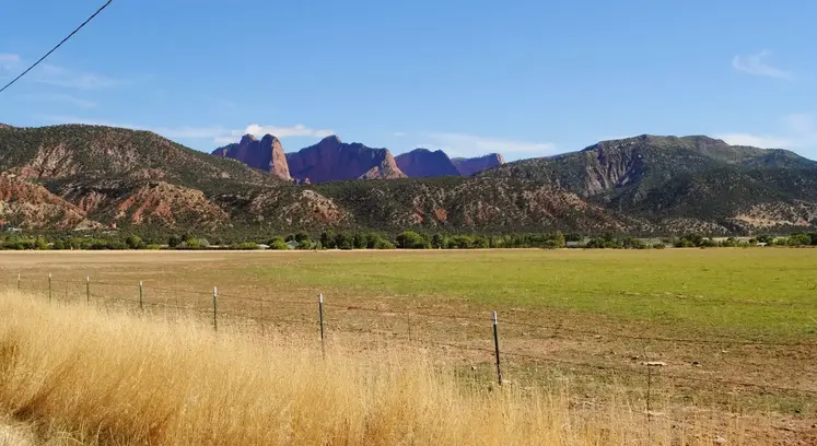 field under the mountains